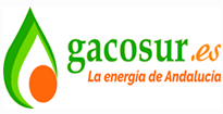 Logo-Gacosur-Joaquin-Caraballo